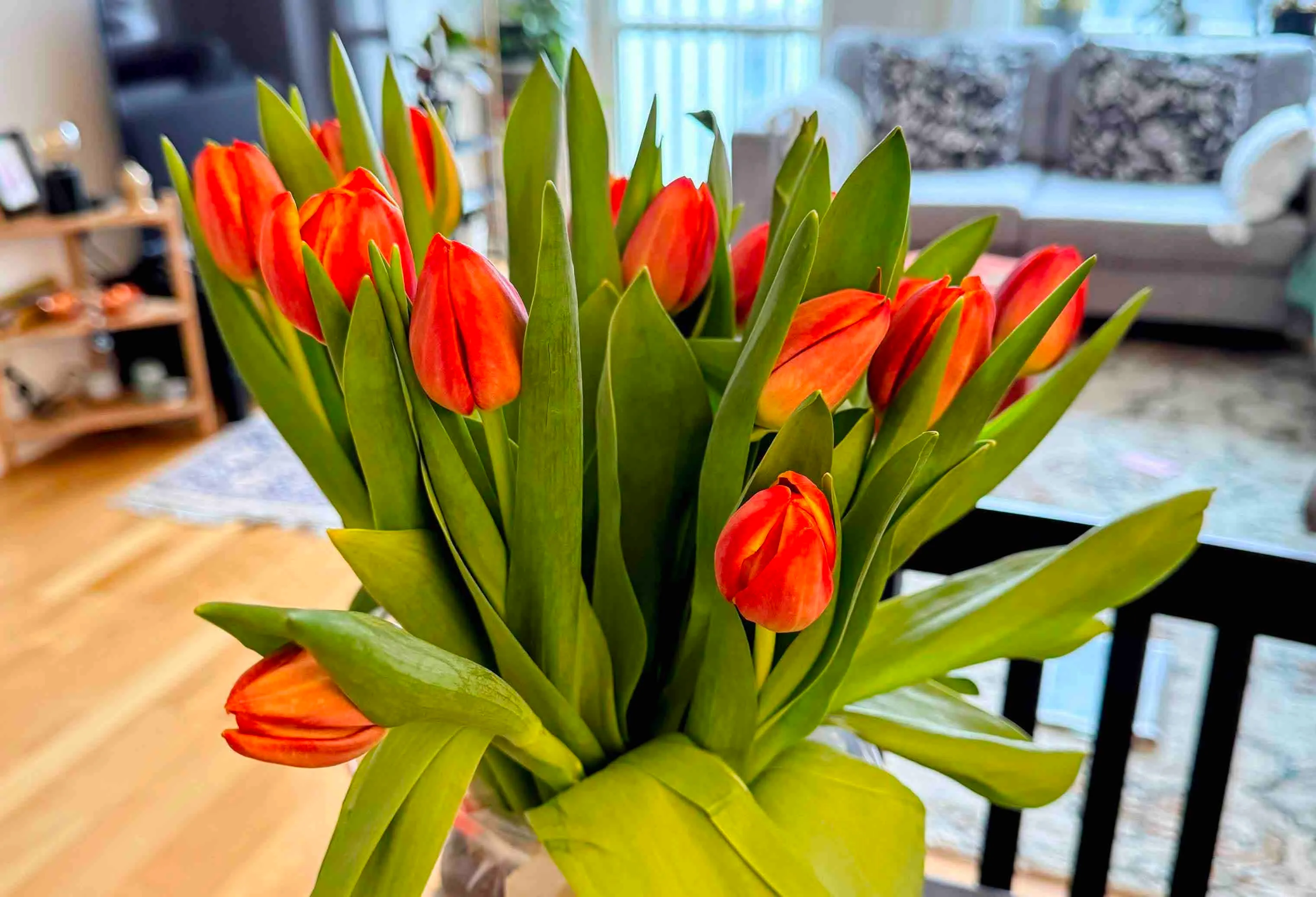 Lillies