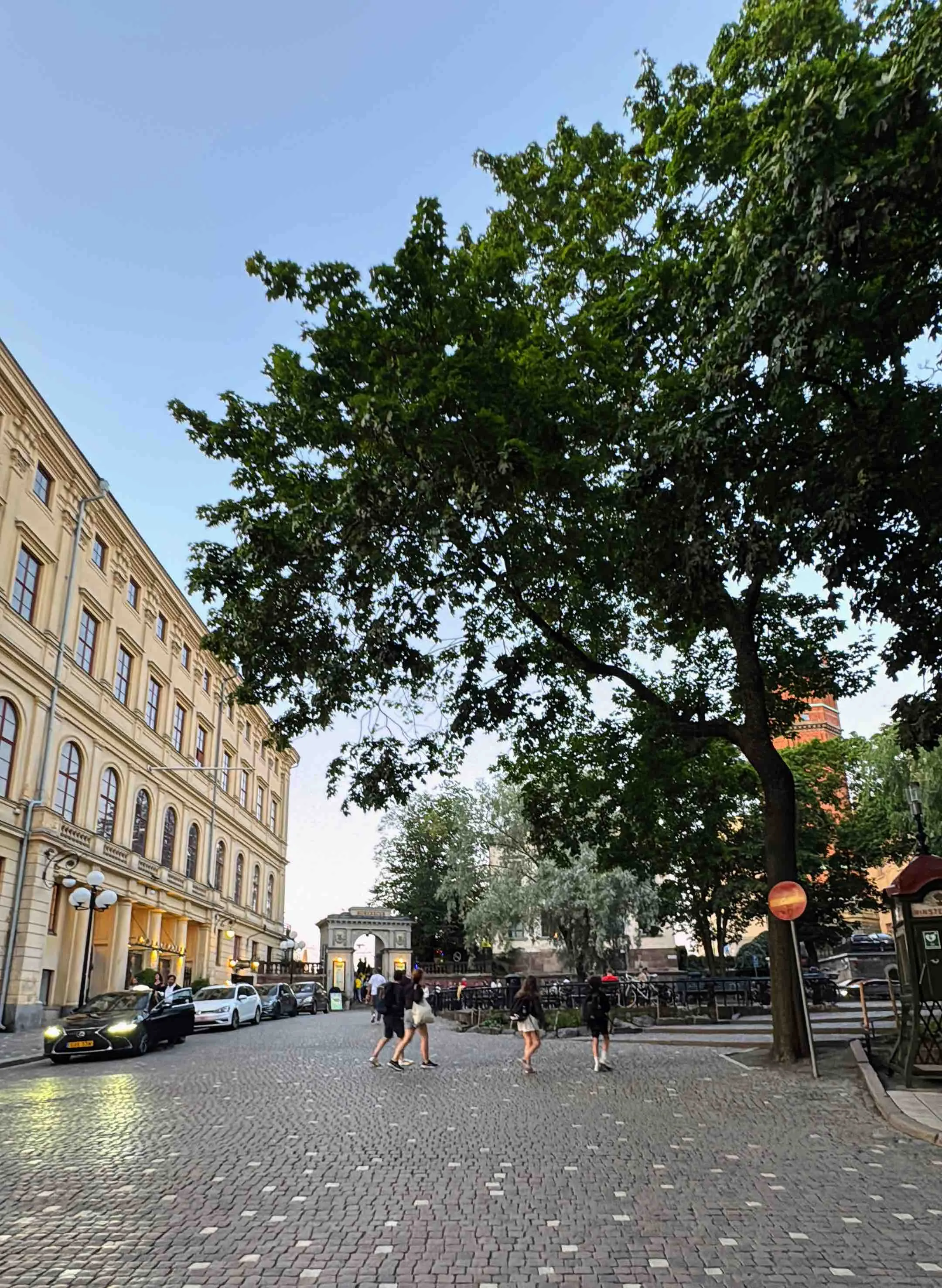 Mosebacketerrassen