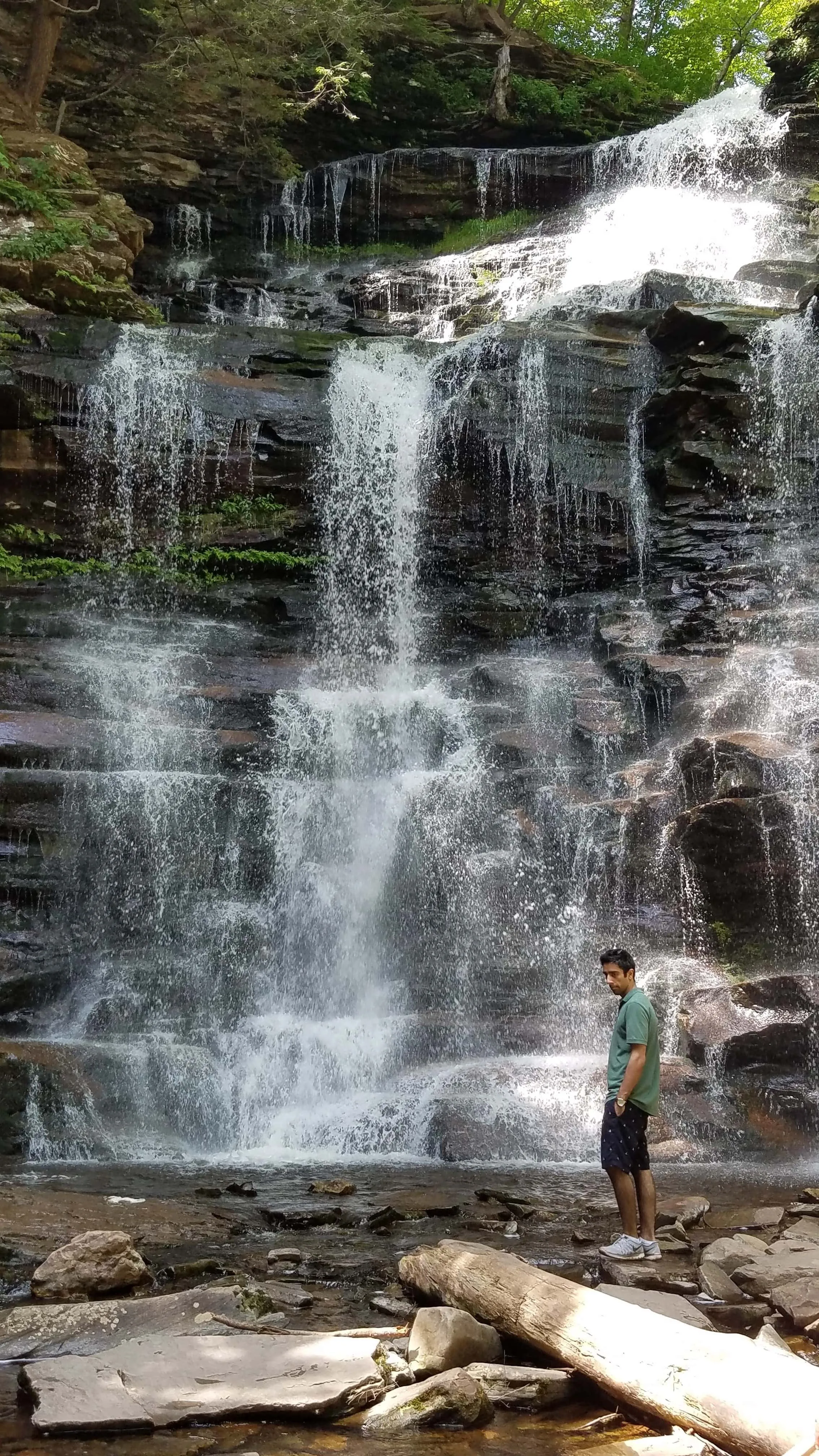 A waterfall in Ricketts Glen, PA