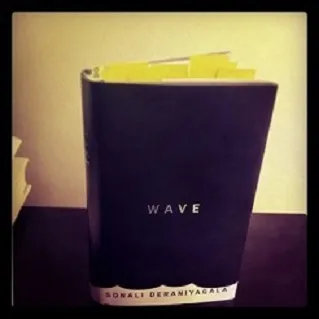 An image of the book Wave by Sonali Deraniyagala